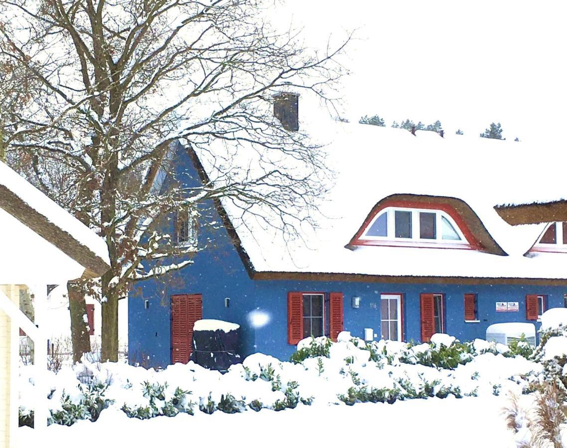 Strandhaus Lucky, Sauna, Garten, Kamin, Strandnah Glowe Eksteriør billede